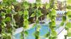 Hotel The Kimpton Shorebreak Fort Lauderdale Beach Resort