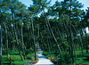 Hotel Green Park Resort