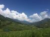 Hoa's Homestay Sapa