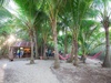 Hotel Thala Beach Nature Reserve