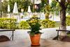 Hotel Quinta Da Bica D Agua