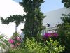 Hotel Sunshine Crete Village