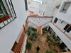 Apartamento Entre Patios San Basilio