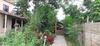 Hotel Tiger Tops Sauraha