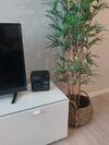 Apartamento Jerez 2018