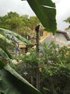 Hostal Fort Heaven - Galle Fort