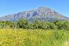 Apartamento La Isla Javea - 5008