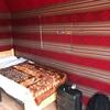 Hotel Bedouin Future Camp