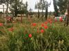 Villa Ayia Marina