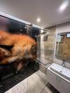 Forresto Apartmani Jahorina