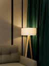 Apartament B�?nicza