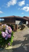 Agroturismo Turismo Rural El Piensu