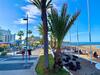 Apartamento Beachfront Studio Las Americas