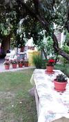 Apartamento Balaton Homestay