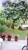 Apartamento Balaton Homestay