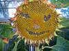 Wiltonburn Farm B&B