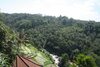 Hotel Kupu Kupu Barong Villas & Tree Spa