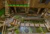 Hostal G? Th�ng Homestay