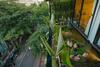 Apartamento Lotushomestayhanoi - Pagoda View 2