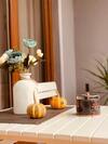 Tekatuka?s Sweet Apartment ?life ?happiness
