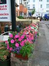 Bed & Breakfast Trentham Guest House