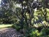 S�tio S�o Francisco, Natureza E Estrutura Completa