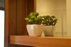 Rosa Apartamento Luxo Maria Ant�nia
