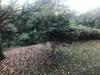 Apartamento Floresta Encantada, O Seu Sonho Em Gramado!