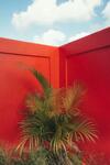 Villa Casa Colorida Canggu - Tropical Selfie Paradise