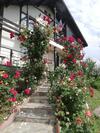 Hostal Casuta Cu Trandafiri