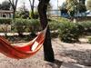 Chalet � Gassin Au Calme Sous Les Pins