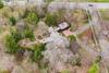 Beautiful In Town Acreage