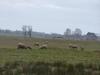 Bed & Breakfast Chambre Familiale Proche Mont St Michel