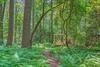 Apartamento Rustic Farm Stay In A Hendersonville Studio!
