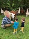 Agroturismo Loire Valley Llama Farm Stay