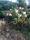 Villa Man� B&B Chambre D'hote