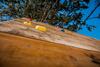 Nature Retreat 2 Bedroom Apartment Silver Mountain