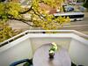Apartamento Gem�tliche Zentral Gelegene Dachgeschosswohnung