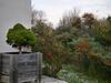 Cottage Des Pins - 6 Pers, Jacuzzi, Jardin, Parking