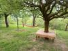 Bed & Breakfast C� D' Fefi
