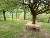 Bed & Breakfast C� D' Fefi