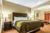 Hotel Comfort Inn & Suites Scott
