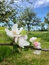 Rh�nzeit Apartements Und Zimmer