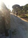 Bed & Breakfast Villa Mariel - Adults Only Giannella Playa