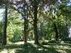 Apartamento Ferienwohnung Mit Brockenblick