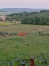 Apartamentos Ferienwohnung Familie Ernst