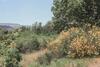 Nest In The Woods - Nido Nel Bosco