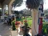 Au Coeur De L Olivette