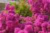 Bed & Breakfast Villa Verdesca