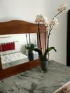 Apartamento La Rosa Appartamenti